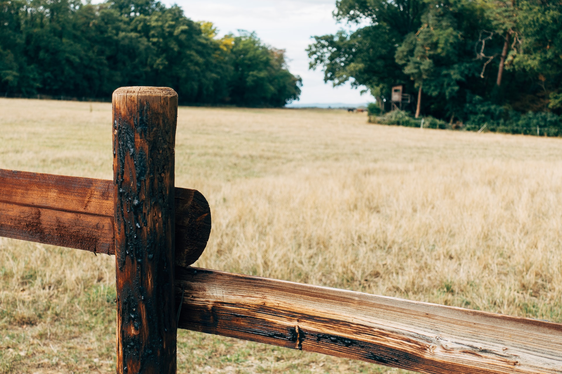 Rights of way: Using the UK countryside responsibly Image